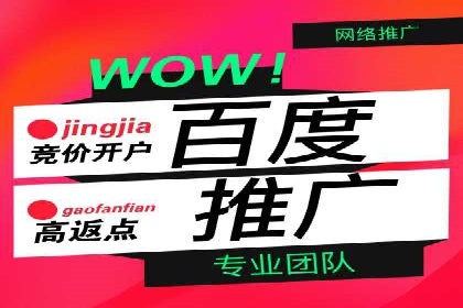 推广竞价实战技巧：成功案例教你如何制定策略